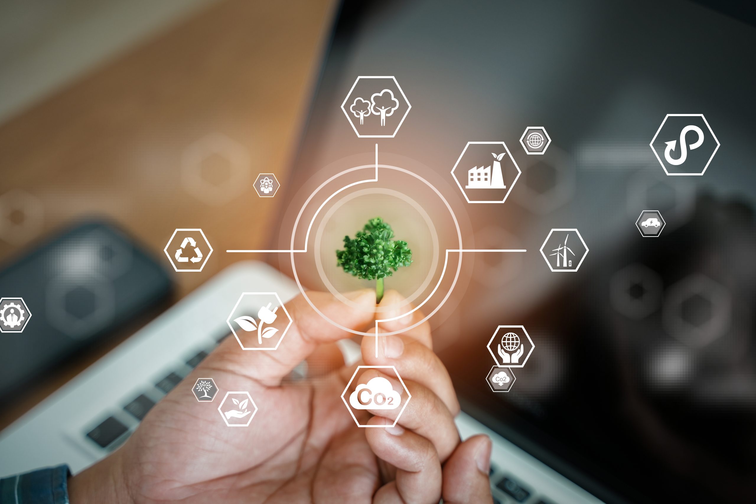 Sustainability in engineering and architectural design